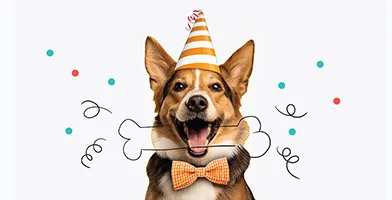 Birthday Sugarwish Dog Treats and Swag gift