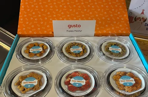 Host a Puppy Paw-ty!