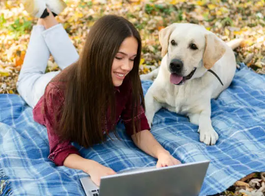 Recipient picks their dog's favorite treats