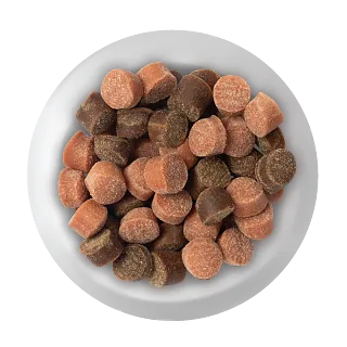 Training tidbits for dogs