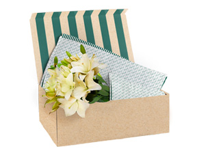 flowers gift box