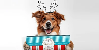 Sugarwish product dogtreats