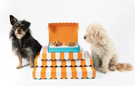 sugarwish guide image