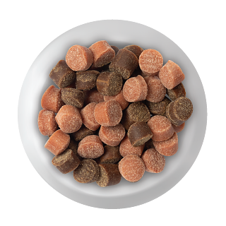 dog treats image